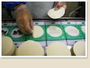 工場内画像③餃子製造工程