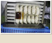 工場内画像⑦餃子製造工程